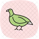 Partridge Bird Game Icon
