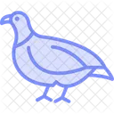 Partridge Bird Game Icon