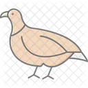 Partridge Bird Game Icon