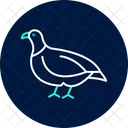 Partridge Bird Game Icon