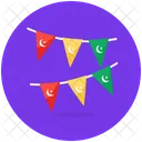 Party Flags  Icon