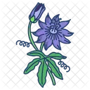 Pasion Flor Florecer Icono