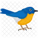 Pássaro azul  Ícone