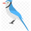 Pássaro azul  Ícone
