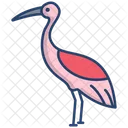 Passaro Guindaste Flamingo Passaro Que Nao Voa Ícone