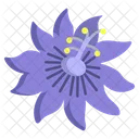 Passion Flower Flowers Icon