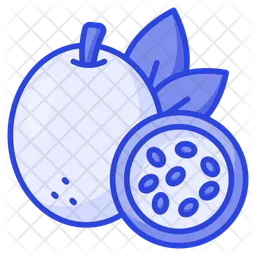 Passion Fruit  Icon