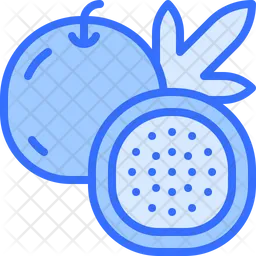 Passion Fruit  Icon