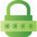 Password Lock Locked Icon