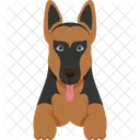 Pastor Aleman Perro Animal Icono
