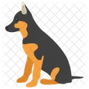 Razas De Perros Especies De Perros Perro Icono