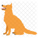Razas De Perros Especies De Perros Perro Icono