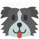 Pastor Australiano Perro Mascota Icono
