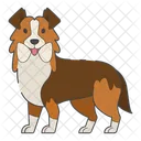Pastor Australiano Perro Cachorro Icono