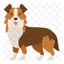 Pastor Australiano Perro Cachorro Icono