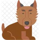 Pastor Perro Pastor Mamifero Icono