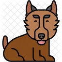 Pastor Perro Pastor Mamifero Icono
