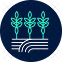 Path Through Crops Path Crops Icon