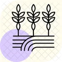 Path Through Crops Path Crops Icon