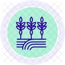 Path Through Crops Path Crops Icon