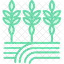 Path Through Crops Path Crops Icon