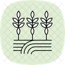 Path Through Crops Icon
