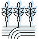 Path Through Crops Path Crops Icon