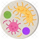 Pathogen Monkeypox Smallpox Icon