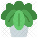 Pathos Plant  Icon