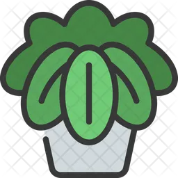 Pathos Plant  Icon