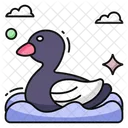Pato  Icono