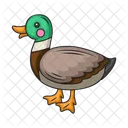 Pato  Icono