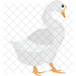 Pato  Icono