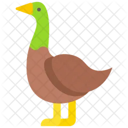 Pato  Ícone