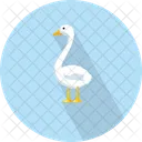 Vector Ilustracion Pajaro Icono
