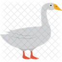 Pato  Icono