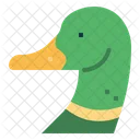 Pato  Icon