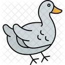 Pato  Icono