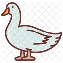 Pato Pajaro Comida De Pato Icono