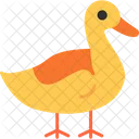 Pato  Icono