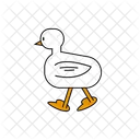 Pato  Icono