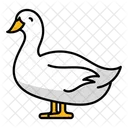 Pato  Icono