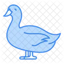 Pato Icon