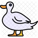 Pato  Ícone