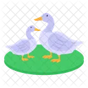 Patos Ícone