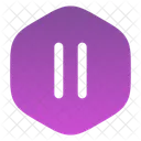 Pause Octagon Icon