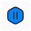 Pause Octagon Control Pause Icon