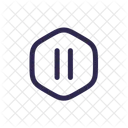 Pause Octagon Control Pause Icon