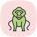Pavian Symbol