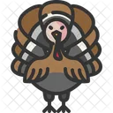 Pavo  Icon